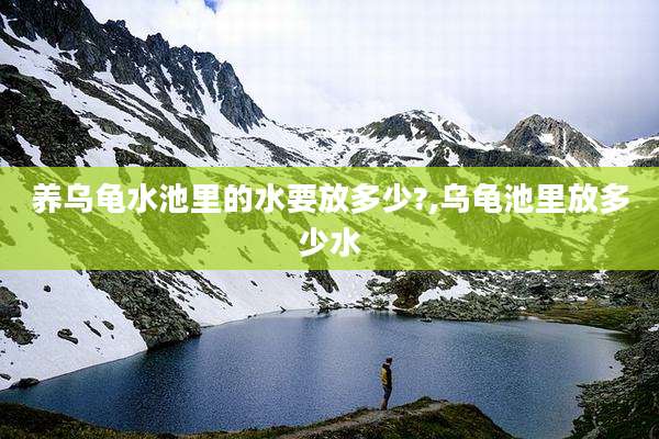 养乌龟水池里的水要放多少?,乌龟池里放多少水