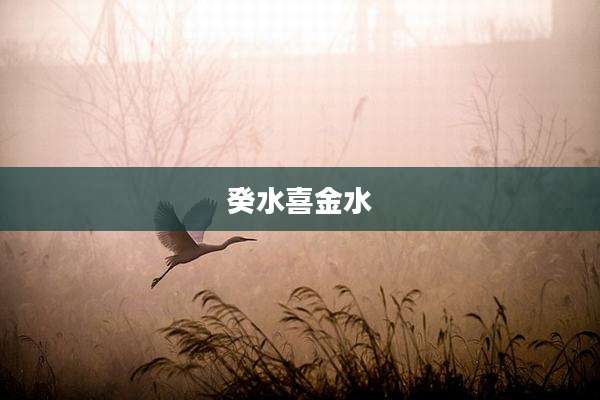 癸水喜金水