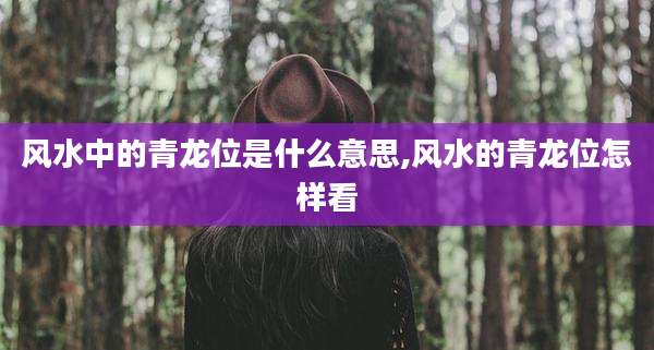 风水中的青龙位是什么意思,风水的青龙位怎样看