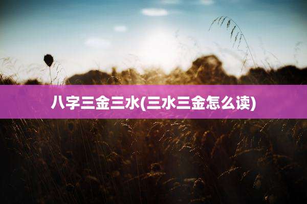 八字三金三水(三水三金怎么读)