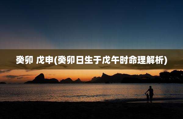 癸卯 戊申(癸卯日生于戊午时命理解析)