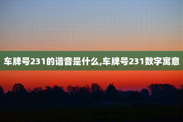 车牌号231的谐音是什么,车牌号231数字寓意