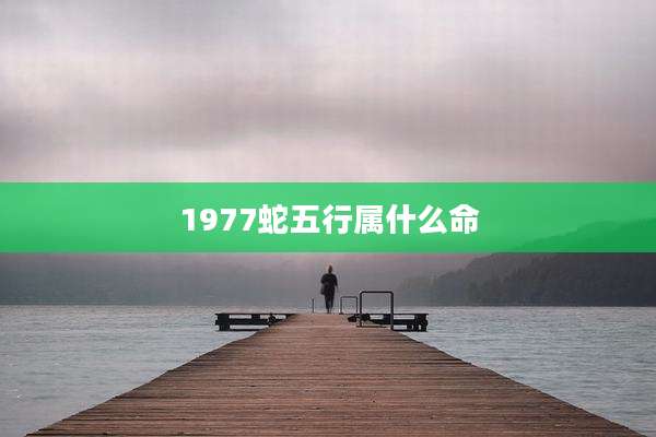 1977蛇五行属什么命