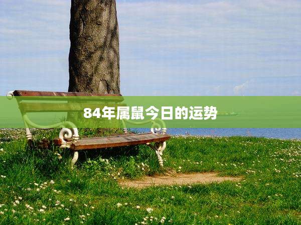 84年属鼠今日的运势