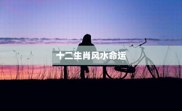 十二生肖风水命运