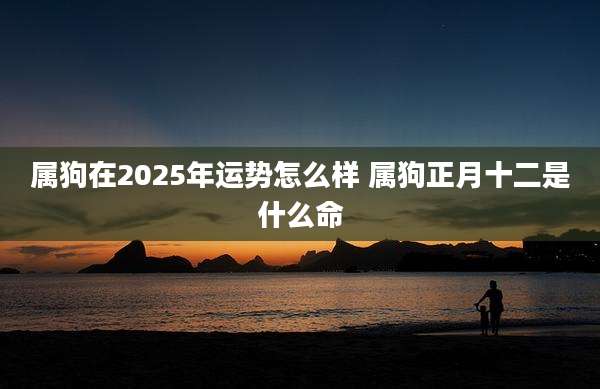 属狗在2025年运势怎么样 属狗正月十二是什么命