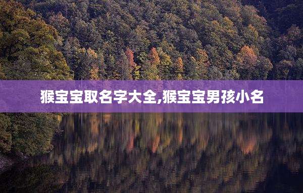 猴宝宝取名字大全,猴宝宝男孩小名