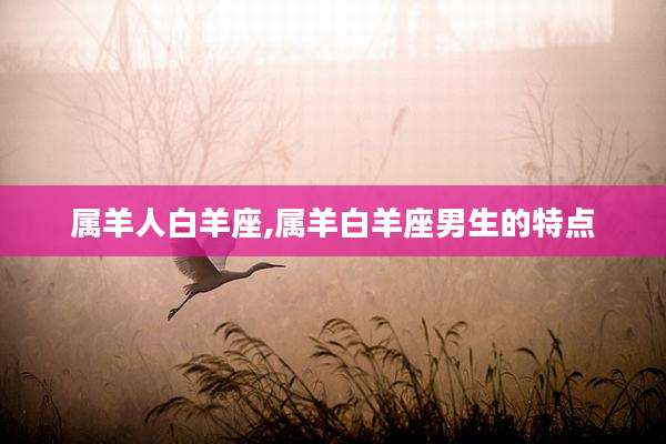 属羊人白羊座,属羊白羊座男生的特点