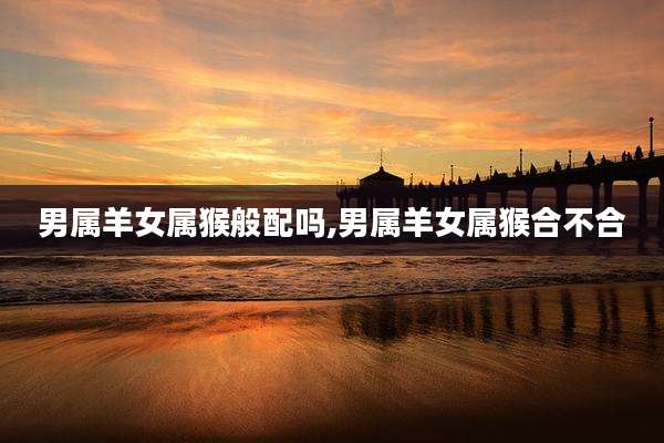 男属羊女属猴般配吗,男属羊女属猴合不合