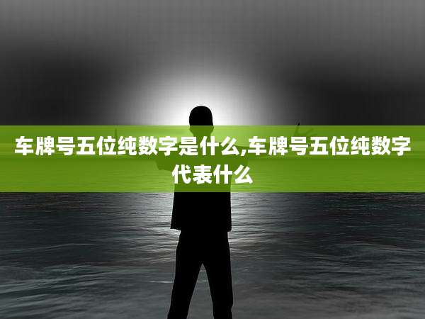 车牌号五位纯数字是什么,车牌号五位纯数字代表什么