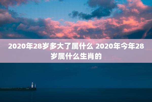 2020年28岁多大了属什么 2020年今年28岁属什么生肖的