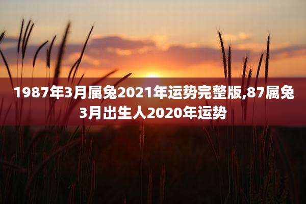 1987年3月属兔2021年运势完整版,87属兔3月出生人2020年运势