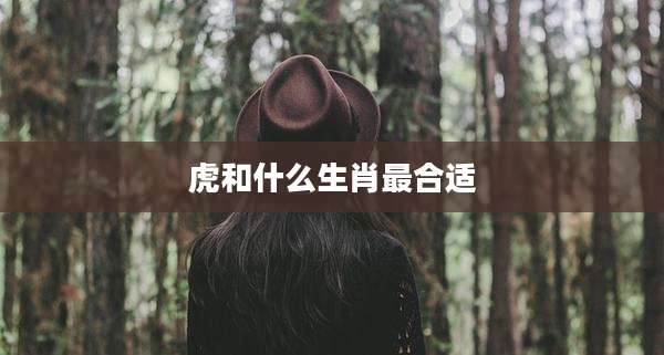 虎和什么生肖最合适