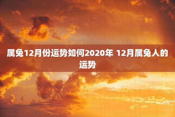 属兔12月份运势如何2020年 12月属兔人的运势