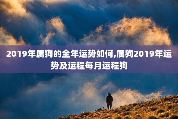 2019年属狗的全年运势如何,属狗2019年运势及运程每月运程狗