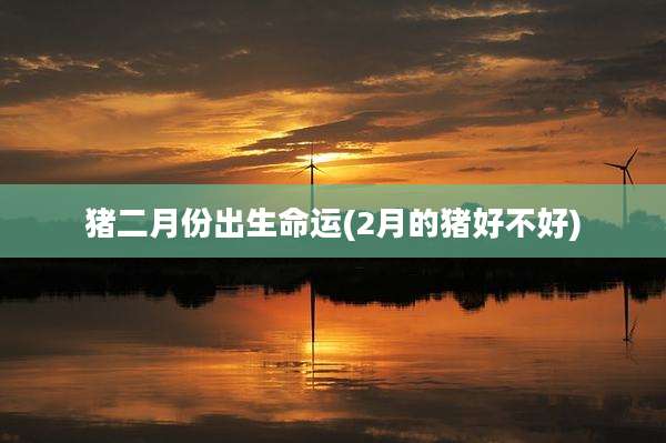 猪二月份出生命运(2月的猪好不好)
