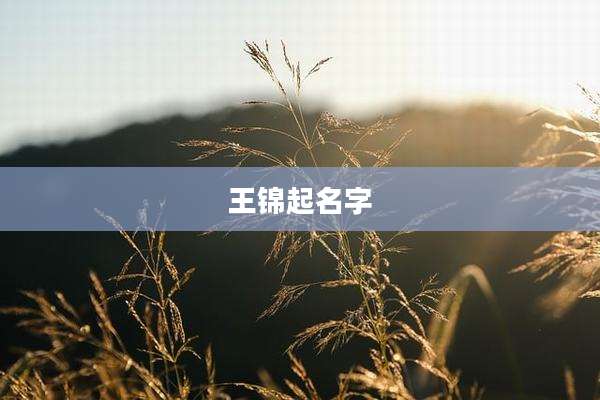 王锦起名字