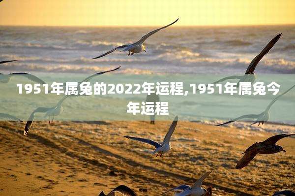 1951年属兔的2022年运程,1951年属兔今年运程