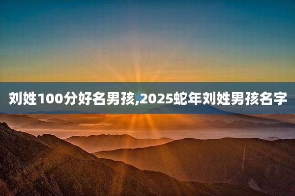 刘姓100分好名男孩,2025蛇年刘姓男孩名字