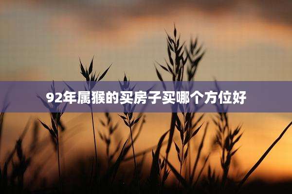 92年属猴的买房子买哪个方位好