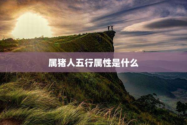 属猪人五行属性是什么