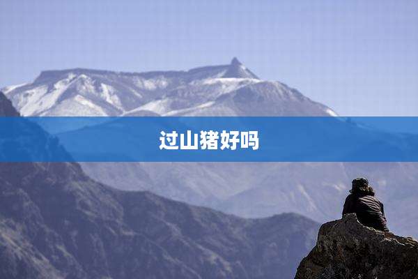 过山猪好吗