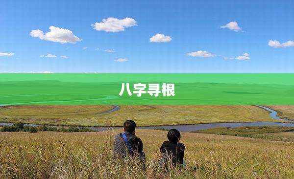 八字寻根
