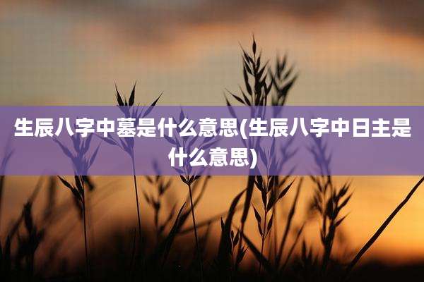 生辰八字中墓是什么意思(生辰八字中日主是什么意思)