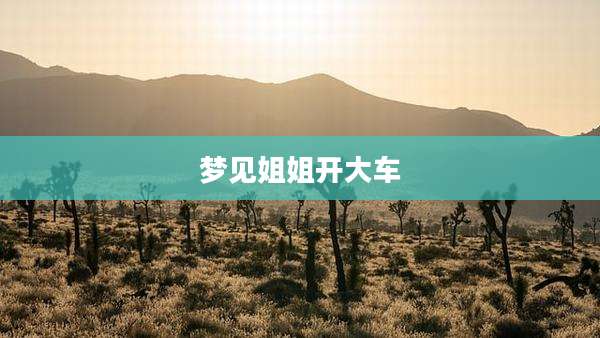 梦见姐姐开大车