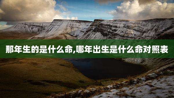 那年生的是什么命,哪年出生是什么命对照表