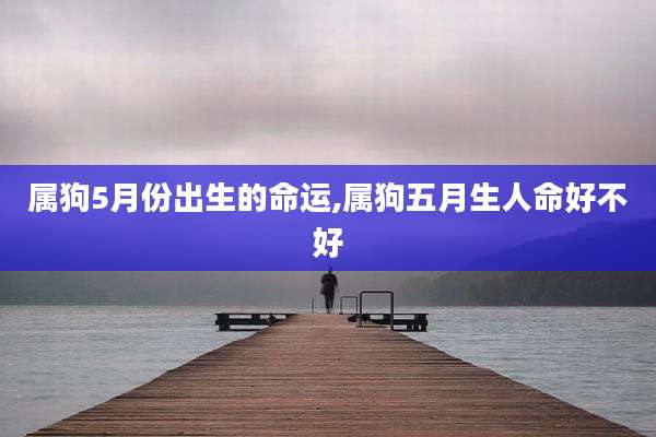 属狗5月份出生的命运,属狗五月生人命好不好