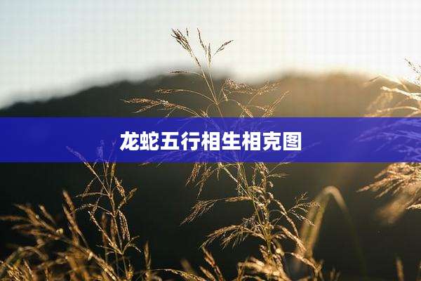 龙蛇五行相生相克图
