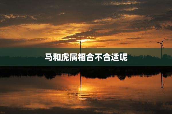 马和虎属相合不合适呢