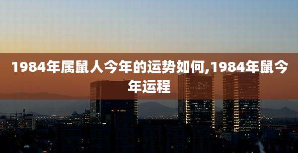 1984年属鼠人今年的运势如何,1984年鼠今年运程