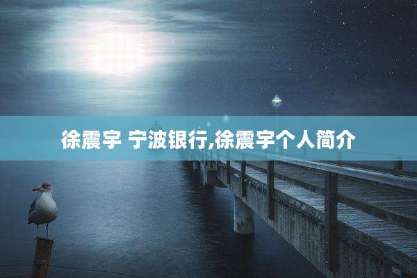徐震宇 宁波银行,徐震宇个人简介