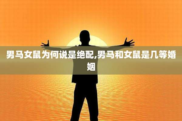 男马女鼠为何说是绝配,男马和女鼠是几等婚姻