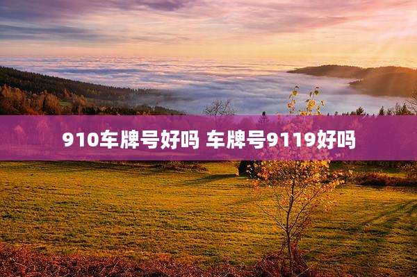 910车牌号好吗 车牌号9119好吗