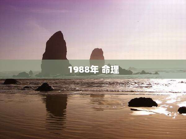1988年 命理