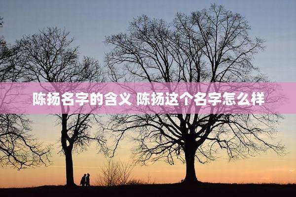 陈扬名字的含义 陈扬这个名字怎么样
