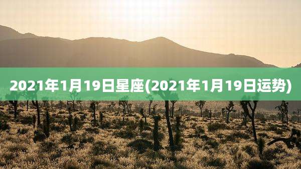 2021年1月19日星座(2021年1月19日运势)