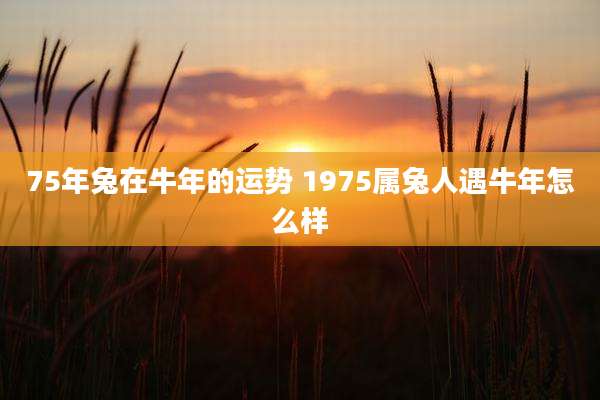 75年兔在牛年的运势 1975属兔人遇牛年怎么样