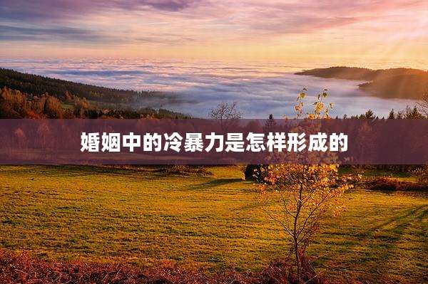 婚姻中的冷暴力是怎样形成的