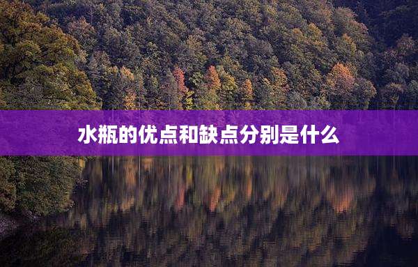 水瓶的优点和缺点分别是什么