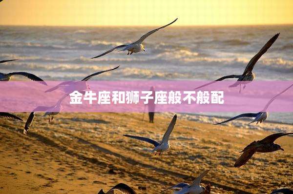 金牛座和狮子座般不般配