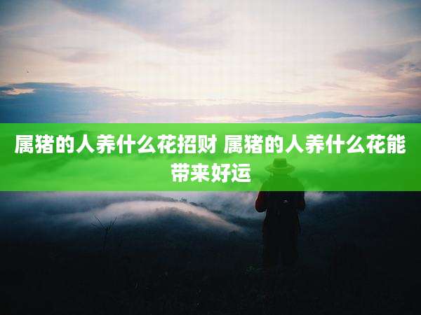 属猪的人养什么花招财 属猪的人养什么花能带来好运