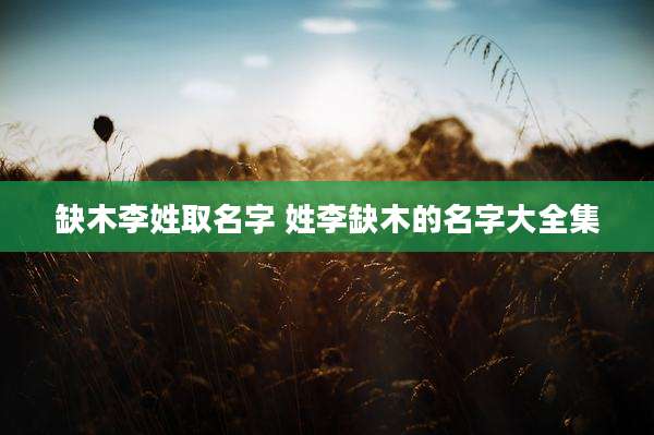 缺木李姓取名字 姓李缺木的名字大全集