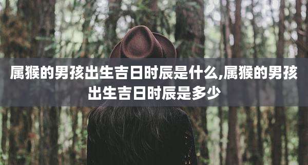 属猴的男孩出生吉日时辰是什么,属猴的男孩出生吉日时辰是多少