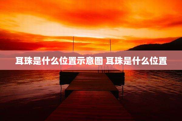耳珠是什么位置示意图 耳珠是什么位置
