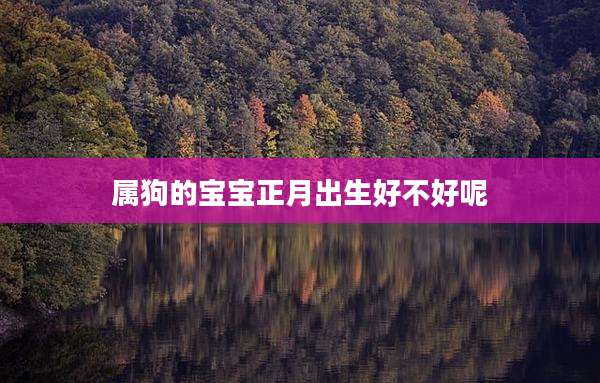属狗的宝宝正月出生好不好呢