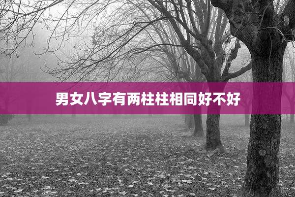 男女八字有两柱柱相同好不好